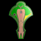 Race Emblem