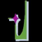 Race Emblem