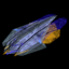 Example Race Ship